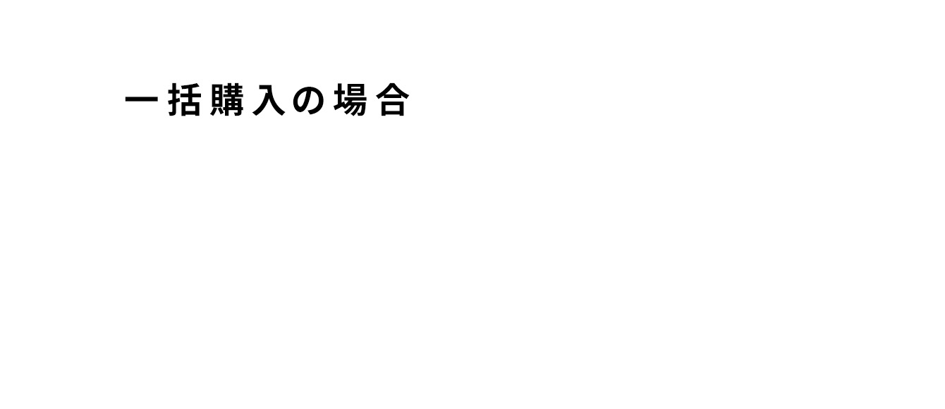 一括購入の場合 385,000円（税込）